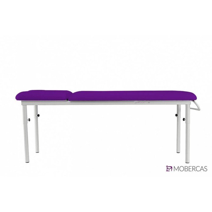 Camilla Fija de 2 cuerpos CDF-20 | Envío gratis