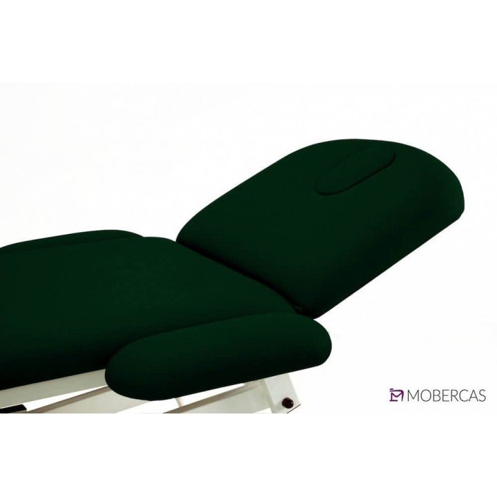 Camilla Eléctrica de 2 Cuerpos CE-2120-ABR| Envío gratis