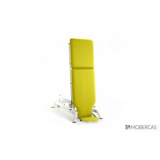 Camilla Eléctrica de 2 cuerpo para pediatría CE-2120-PI| Envío gratis