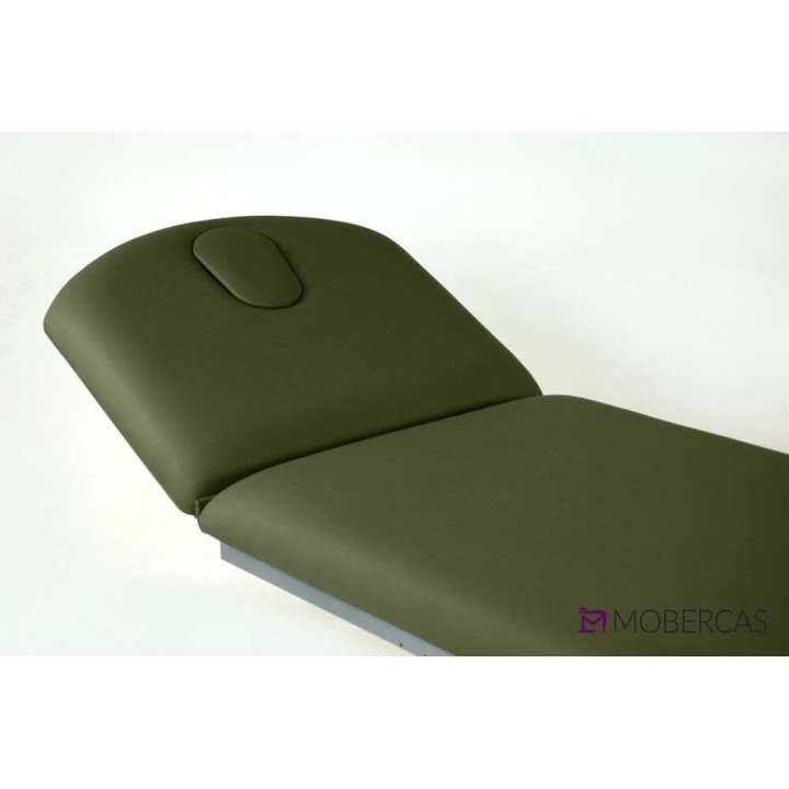 Camilla Eléctrica de 2 Cuerpos CE-2127-A| Envío gratis