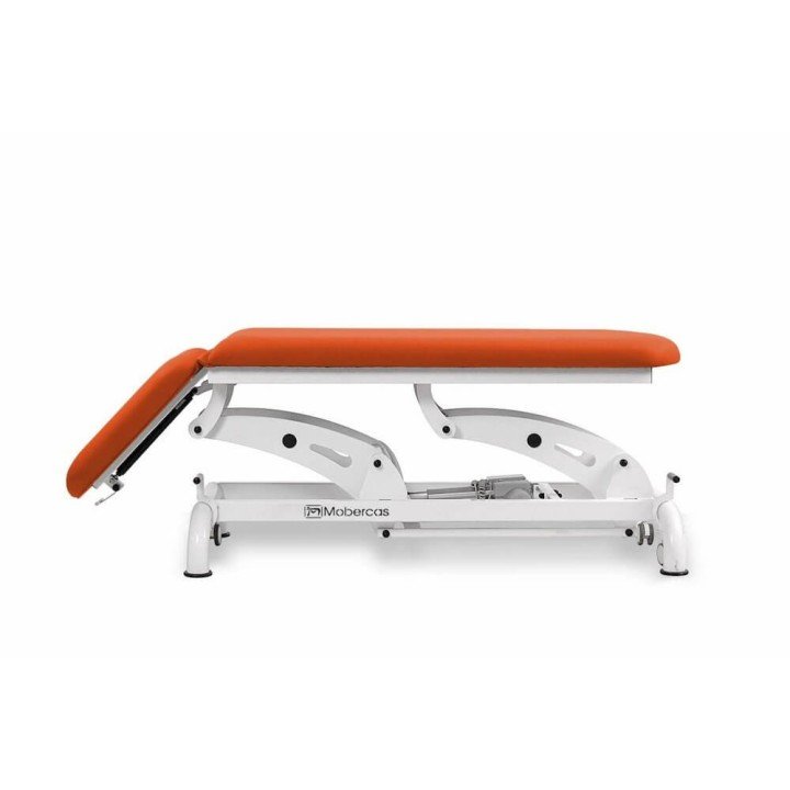 Camilla Eléctrica de 2 Cuerpos CE-2129-AR| Envío gratis