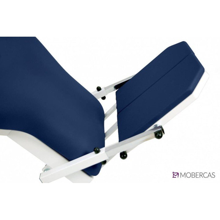 Camilla Eléctrica de 2 cuerpo CE-2220-PI| Envío gratis