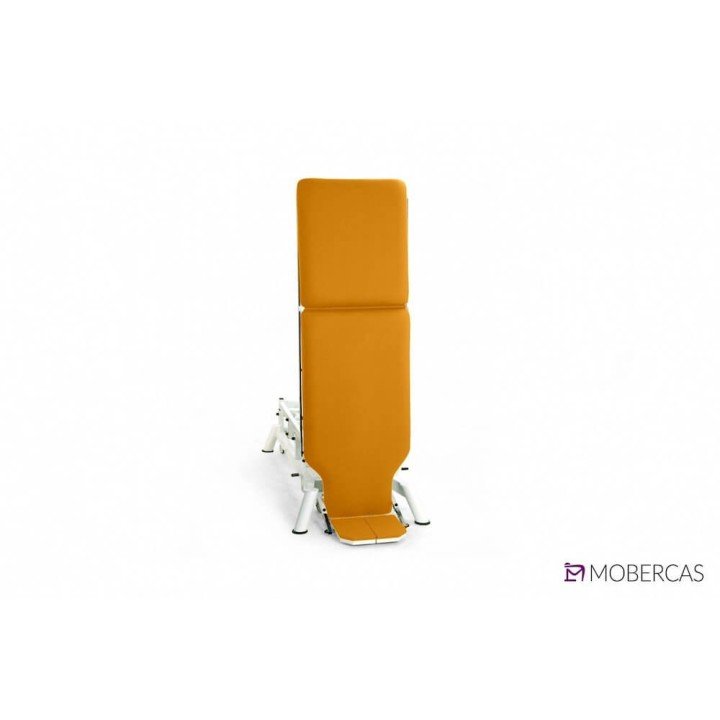 Camilla Eléctrica de Pediatría de 2 cuerpo CE-2220-PI| Envío gratis