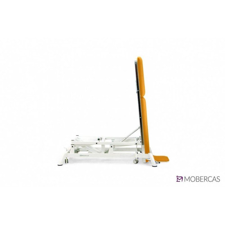 Camilla Eléctrica de Pediatría de 2 cuerpo CE-2220-PI| Envío gratis