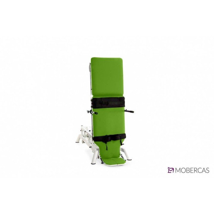 Camilla Eléctrica de 2 cuerpos pediátrica CE-2225-PI| Envío gratis