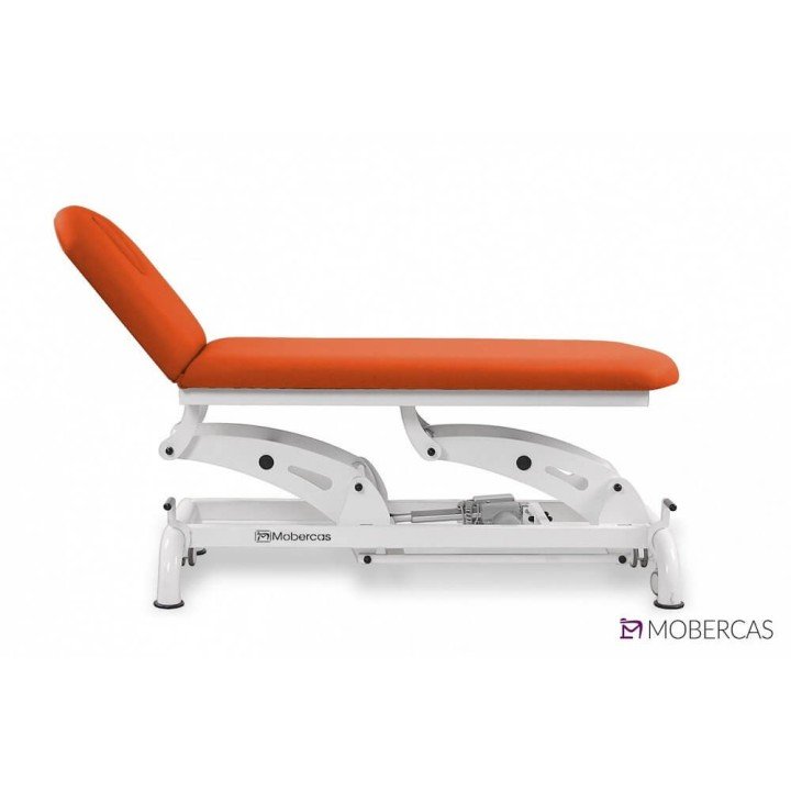 Camilla Eléctrica de 2 Cuerpos CE-2229-AR| Envío gratis