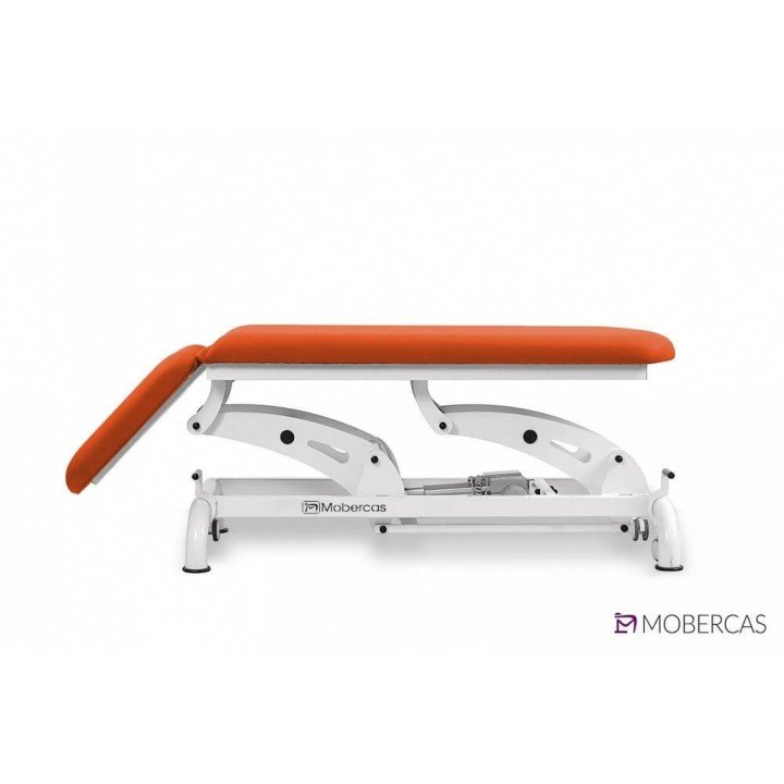 Camilla Eléctrica de 2 Cuerpos CE-2229-AR| Envío gratis