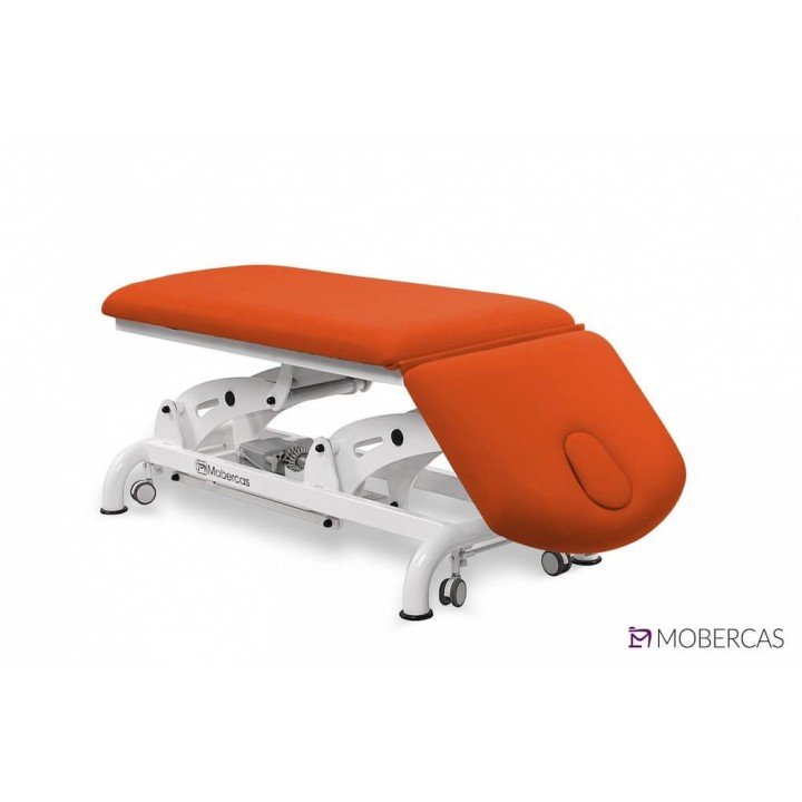 Camilla Eléctrica de 2 Cuerpos CE-2229-AR| Envío gratis