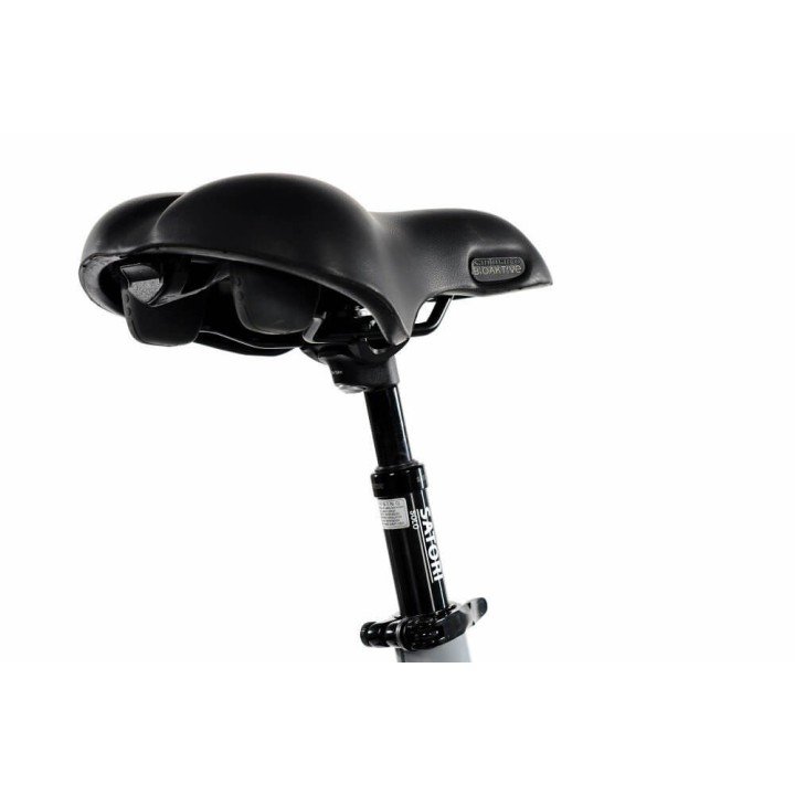 copy of Triciclo de paseo City Trike 2.0