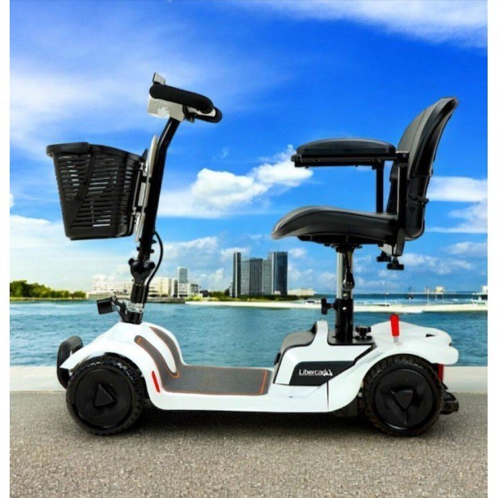 Scooter eléctrico desmontable ALFA