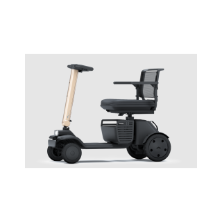 Scooter eléctrico desmontable Model R