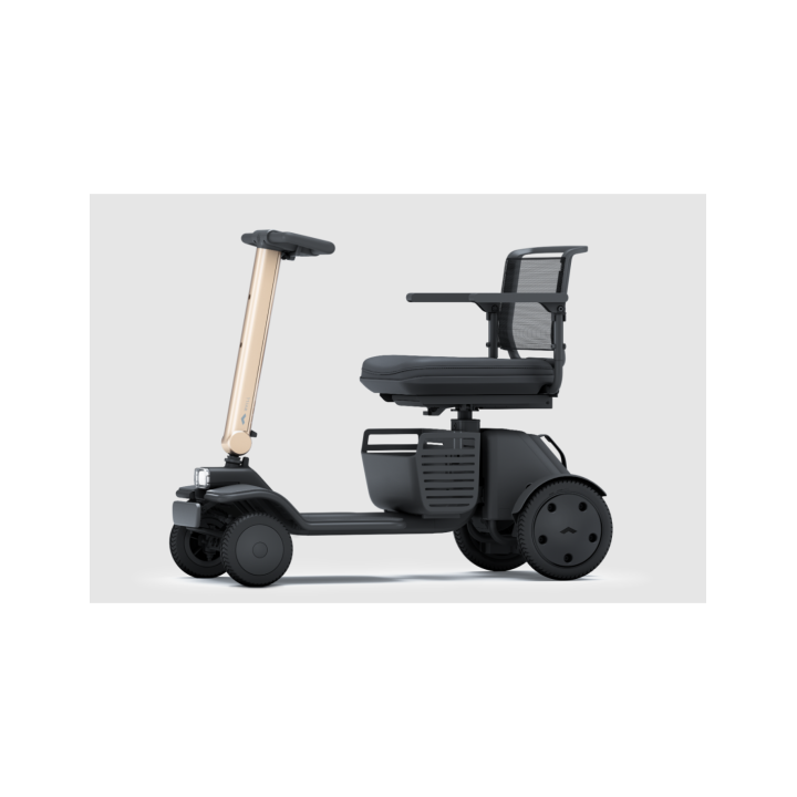 Scooter eléctrico desmontable Model R