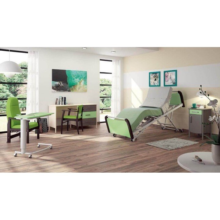 Cama eléctrica articulada Aerys II