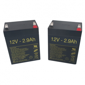 Baterías para Grúa eléctrica Jasmine de 2.9Ah - 12V - 