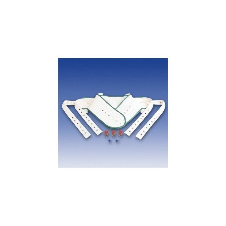 Cinturón abdominal - Ayudas dinámicas