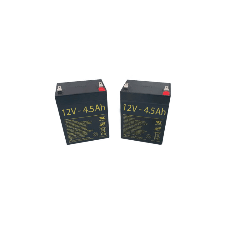 Baterías Grúa eléctrica 2&1 de 4.5Ah - 12V