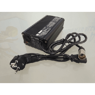 Cargador para Scooter eléctrico Dolce Vita de 6A - 24V