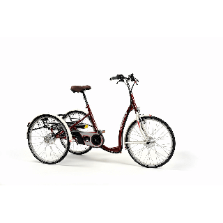 Triciclo para adultos 'Lagoon'