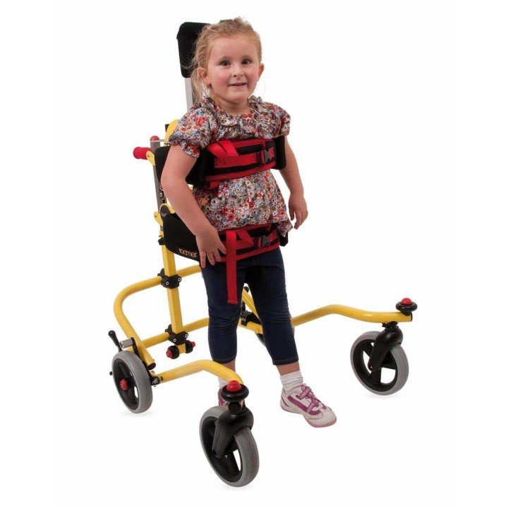 Andador Posterior Buddy Roamer | Envío gratis