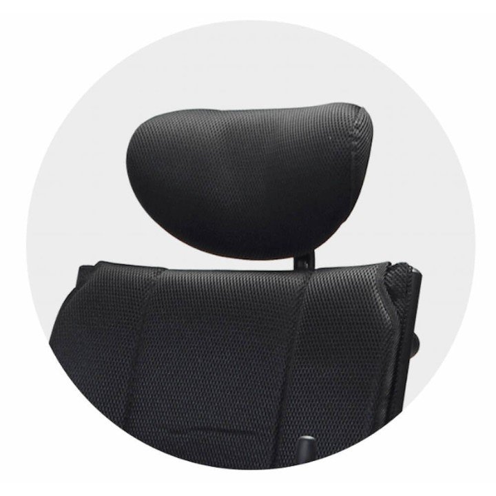 Silla de Ruedas Eléctrica de Bipedestación Oceania Vario. Envío gratis.